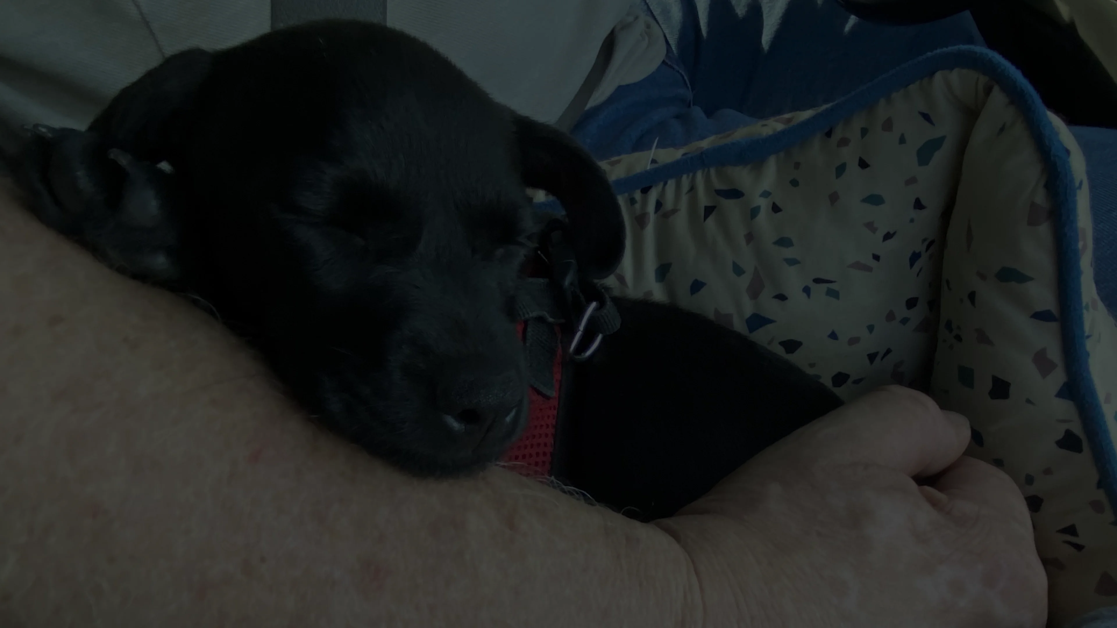 Artist Ride 2021-vimeo.mp4 on Vimeo