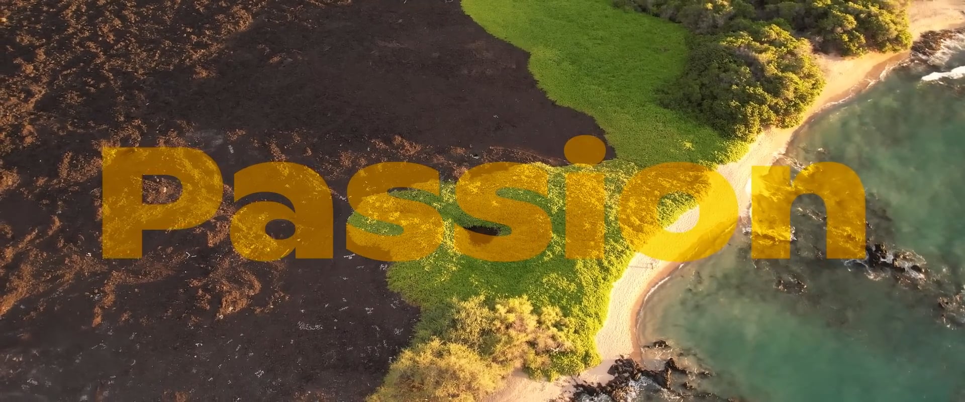 Mango Origin Stories Hawaii On Vimeo