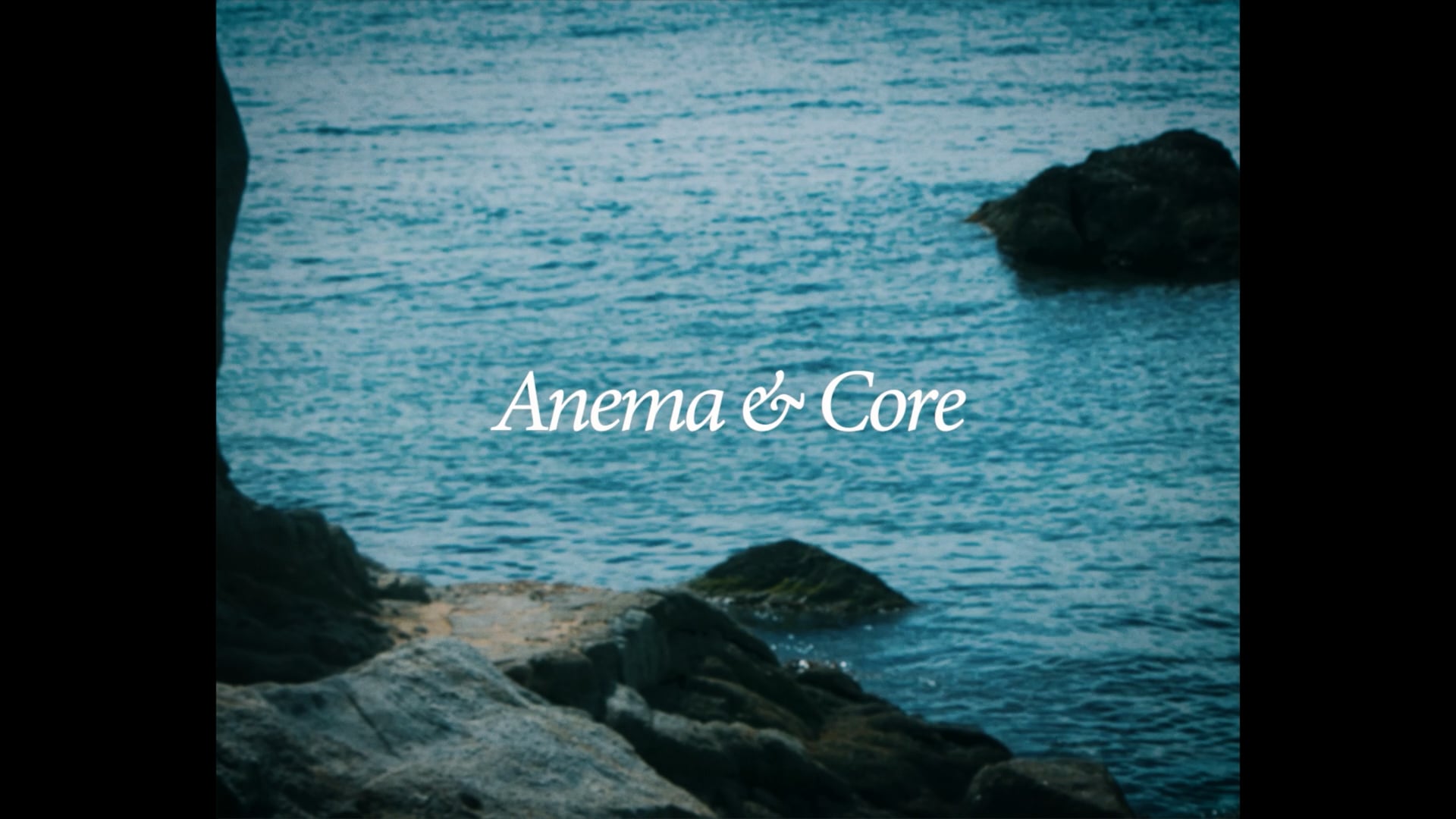 Anema & Core