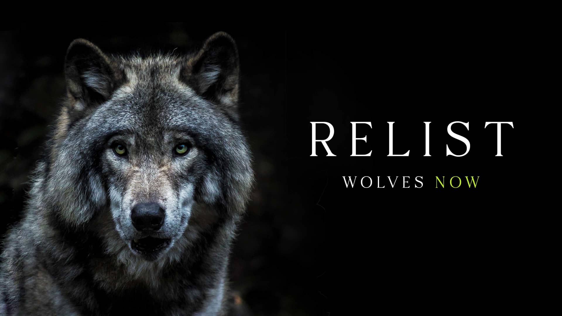 Relist Wolves Now