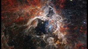 Related Embedded Video Item Thumbnail