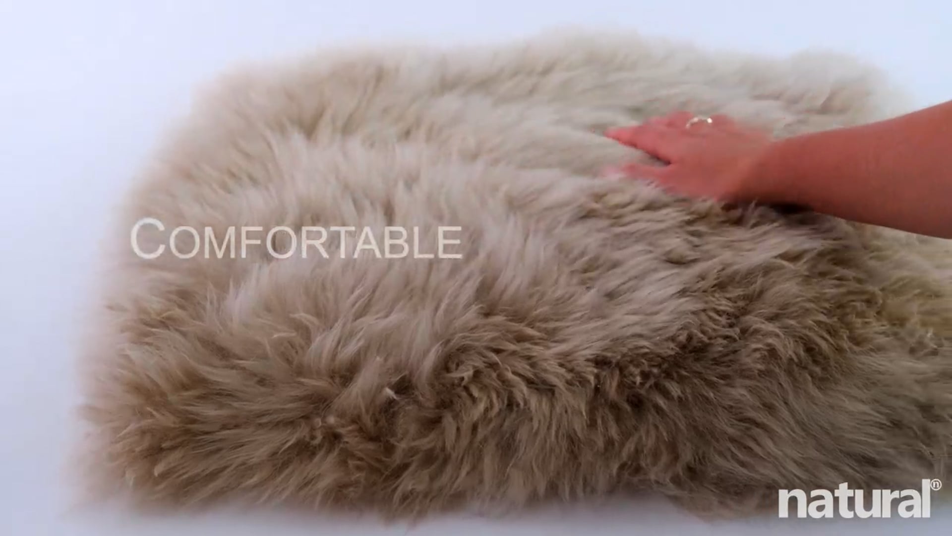 100 New Zealand Sheepskin Chair Seat Cover, 17"x17" Contemporary