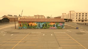 Local Edition Creative - Video - 1
