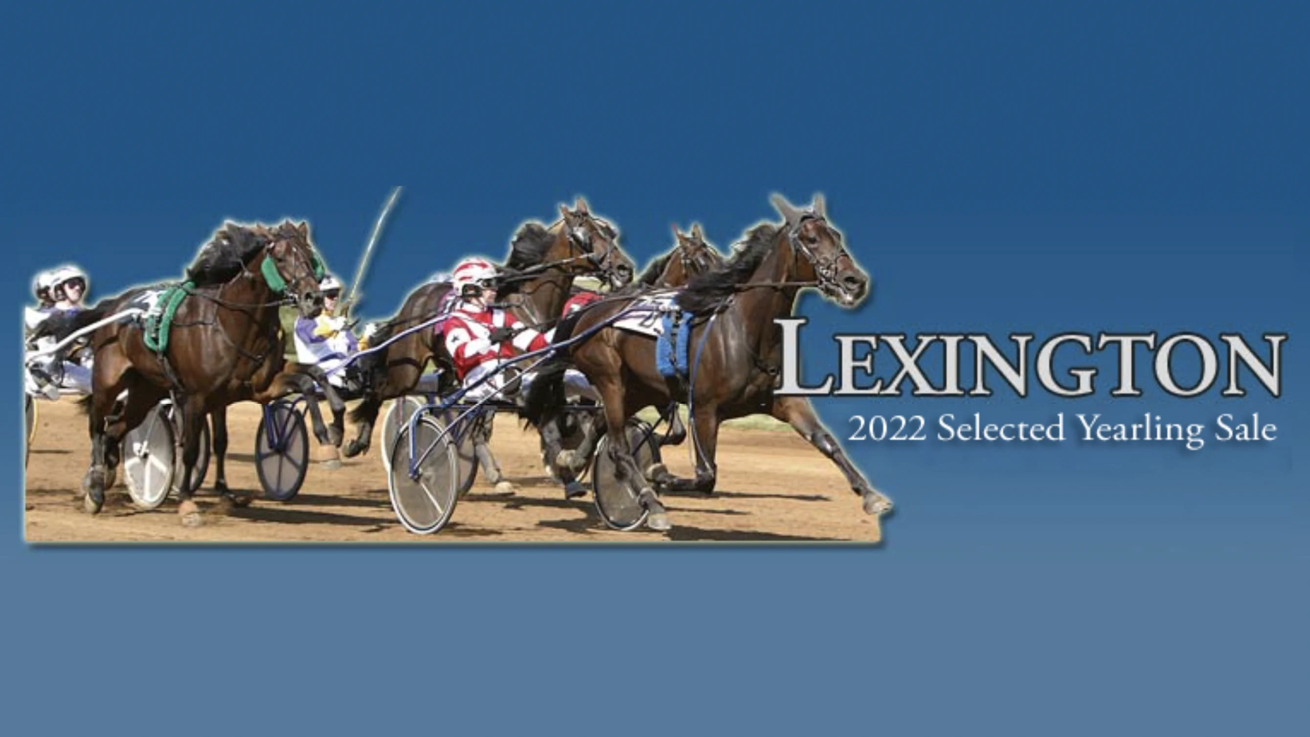 2022 Lexington Selected Yearling Sale Day 3 on Vimeo