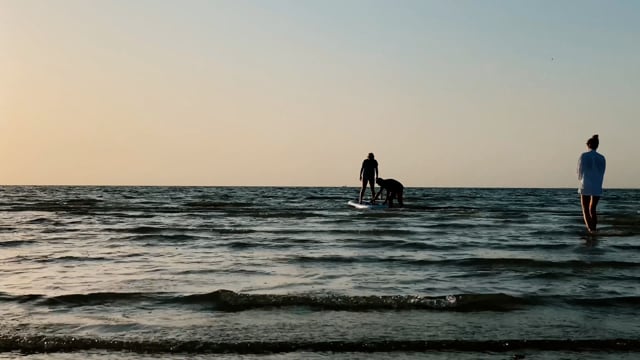 Water Sup-Boarding People - Free video on Pixabay