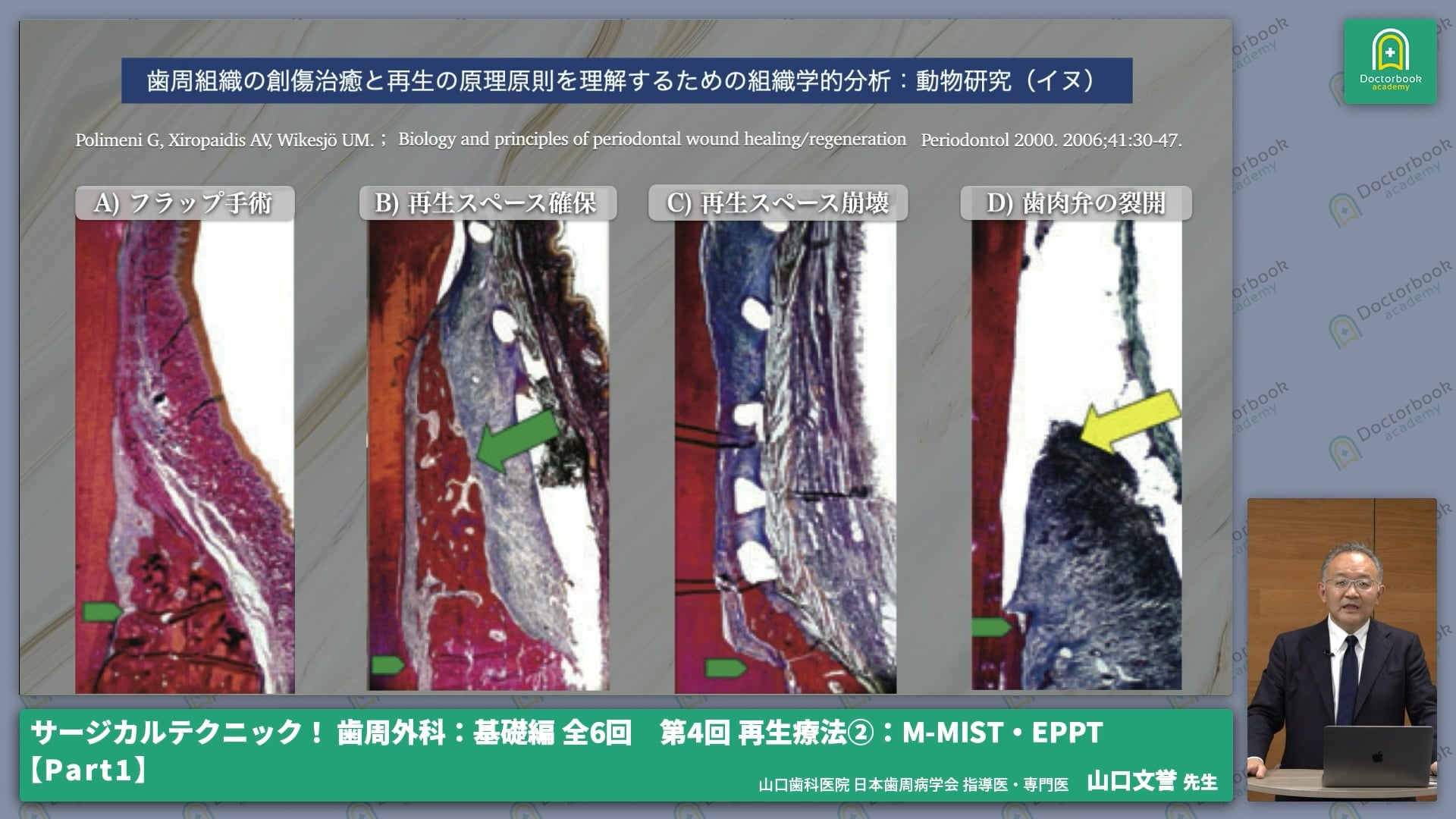 再生療法の成功に必要な3原則 #1