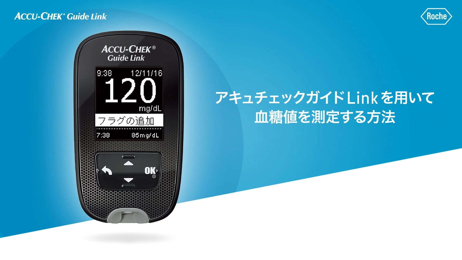 追加仕様 | Japan