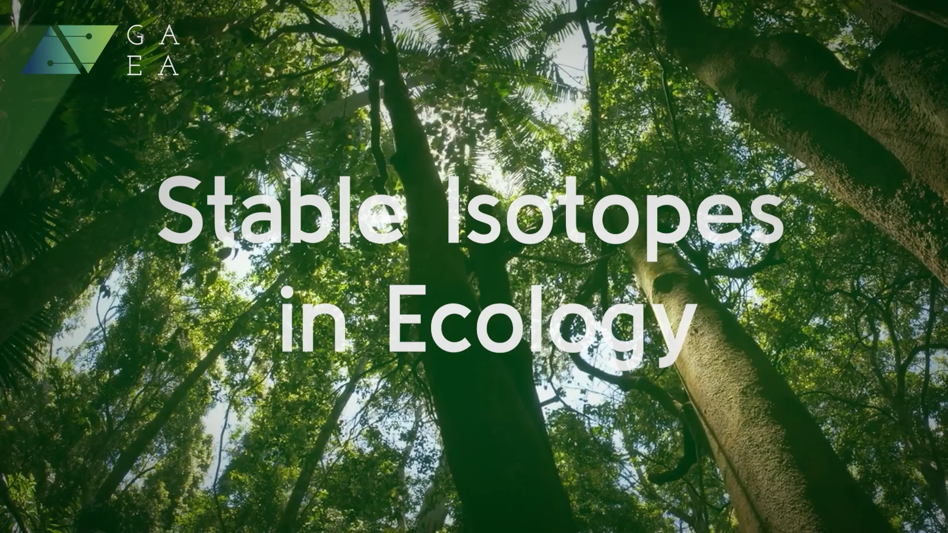 stable-isotopes-in-ecology-intro-on-vimeo