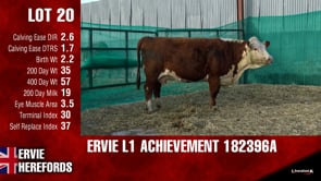 Lot #20 - L1ACHIEVEMENT182396A