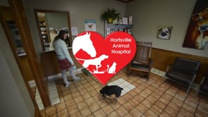 Hartsville Animal Hospital
