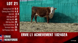Lot #21 - L1ACHIEVEMENT182402A