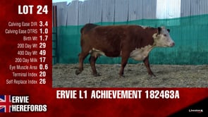 Lot #24 - L1ACHIEVEMENT182463A