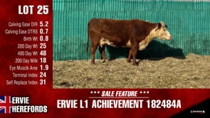 Lot #25 - L1ACHIEVEMENT182484A