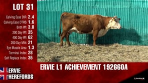 Lot #31 - L1ACHIEVEMENT192660A