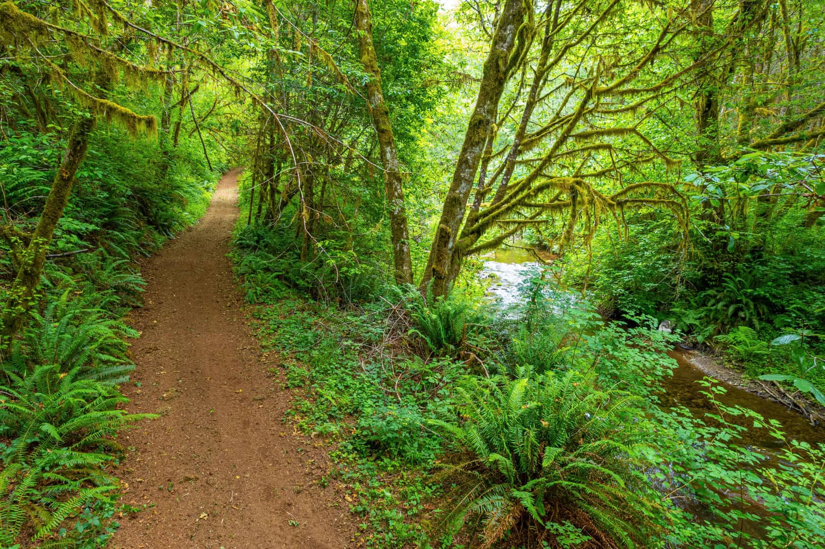 McLeod Creek on Vimeo