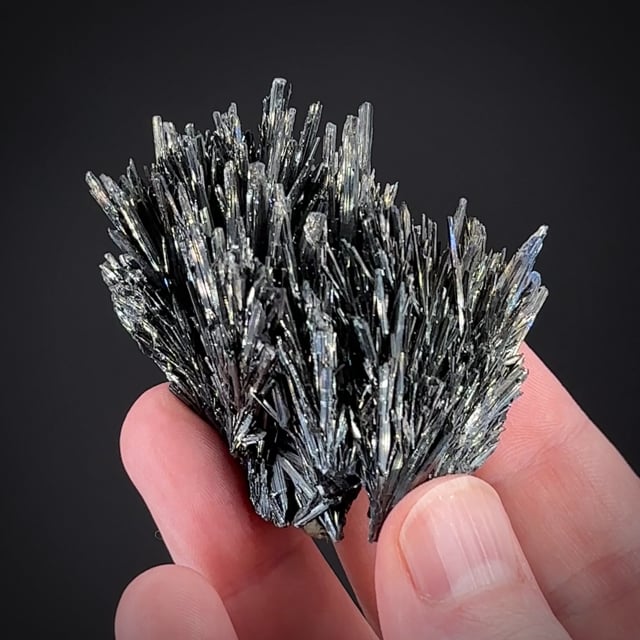 Stibnite (Panczner Coll.)