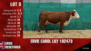 Lot #3 - ERVIE CAROL LILY 182473