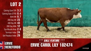 Lot #2 - ERVIE CAROL LILY 182474