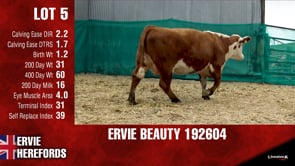 Lot #5 - ERVIE BEAUTY 192604