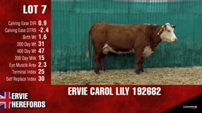 Lot #7 - ERVIE CAROL LILY 192682