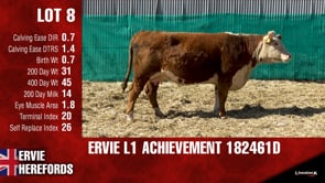 Lot #8 - ERVIE L1 ACHIEVEMENT 182461D