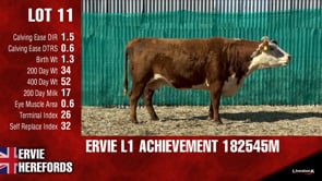 Lot #11 - ERVIE L1 ACHIEVEMENT 182545M
