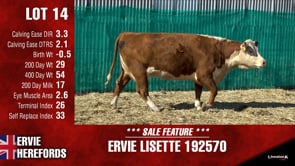 Lot #14 - ERVIE LISETTE 192570