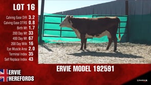 Lot #16 - ERVIE MODEL 192591