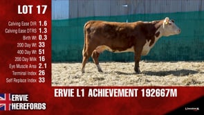 Lot #17 - ERVIE L1 ACHIEVEMENT 192667M