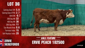 Lot #36 - PEACH 182500