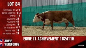 Lot #34 - L1ACHIEVEMENT182411H
