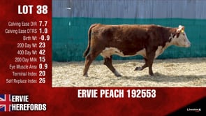 Lot #38 - PEACH 192553