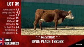 Lot #39 - PEACH 192562