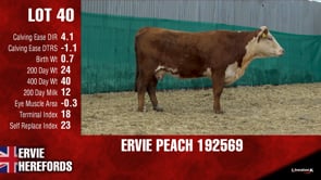 Lot #40 - PEACH 192569