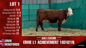 Lot #1 - ERVIE L1 ACHIEVEMENT 182421N