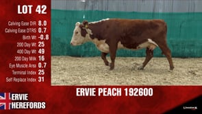 Lot #42 - PEACH 192600