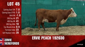 Lot #45 - PEACH 192630