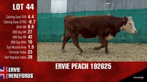 Lot #44 - PEACH 192625