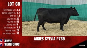 Lot #65 - AIRIES SYLVIA P739