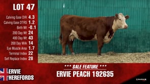 Lot #47 - PEACH 192635