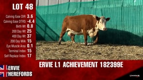 Lot #48 - L1ACHIEVEMENT182399E