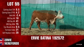 Lot #55 - SATINA 192572