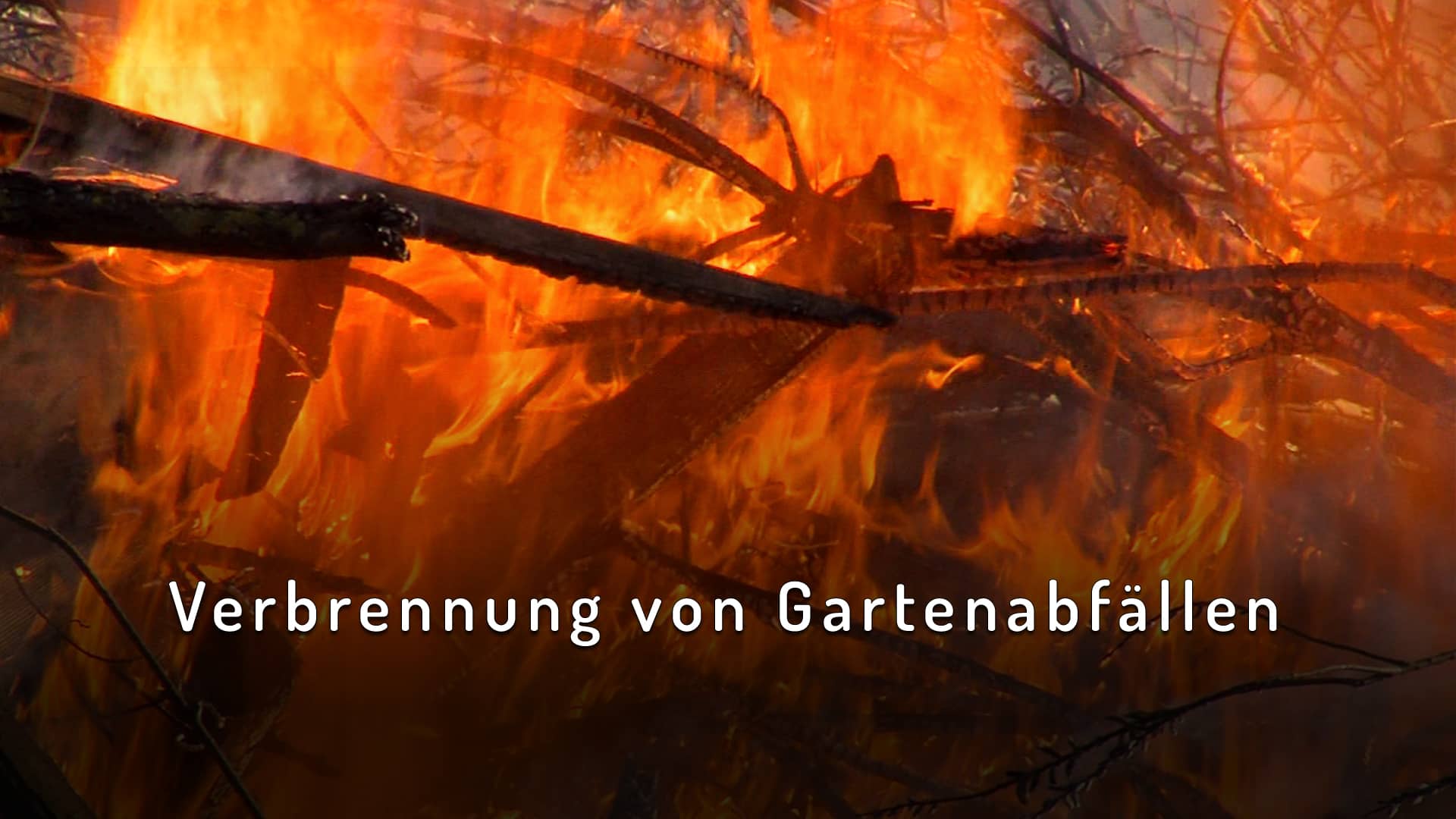 Verbrennung von Gartenabfällen on Vimeo