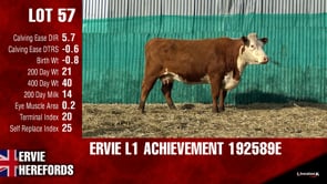 Lot #57 - L1ACHIEVEMENT192589E