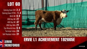 Lot #60 - L1ACHIEVEMENT192665E