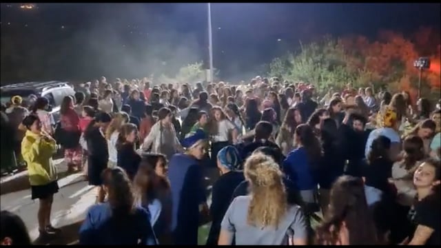 ניוזלטר2