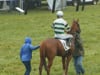 Foxfield Fall - R2