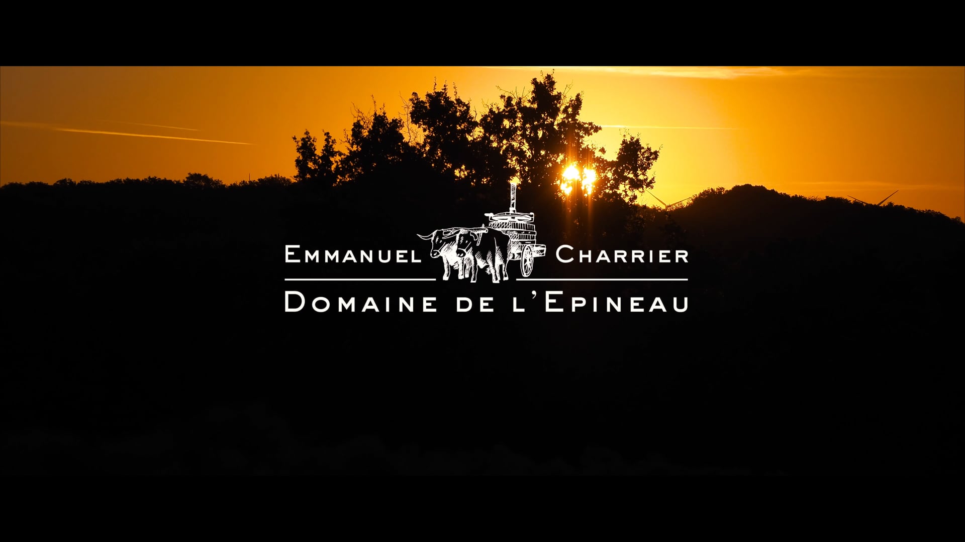 Domaine de l'Epineau - Coteaux du Giennois