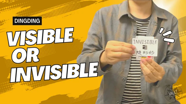 The Vault - Visible Or Invisible By Dingding Video DOWNLOAD.