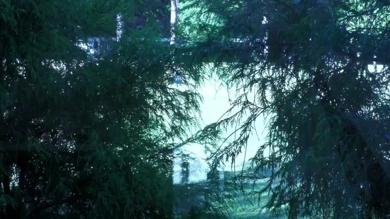 WCC Livestream Gathering on Vimeo